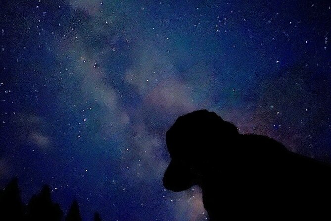 The Banff Stargazing Tour - 2hr Walking Tour - Night photography without a complicated lesson