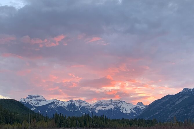 The Banff Stargazing Tour - 2hr Walking Tour - Price and overall value at $68.34