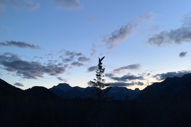 The Banff Stargazing Tour - 2hr Walking Tour - A gentle 5-kilometer walk through the park