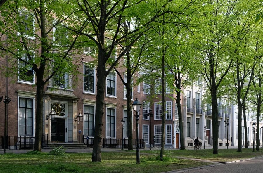 The Hague: City Walking Tour - Pausing beside the Hofvijver