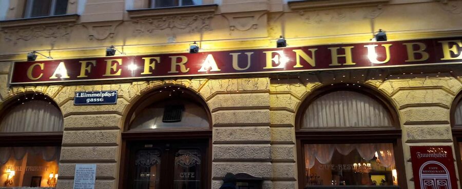 The unknown Vienna City- a guided walking tour in 3 hours - Winding streets and the medieval Hofburg