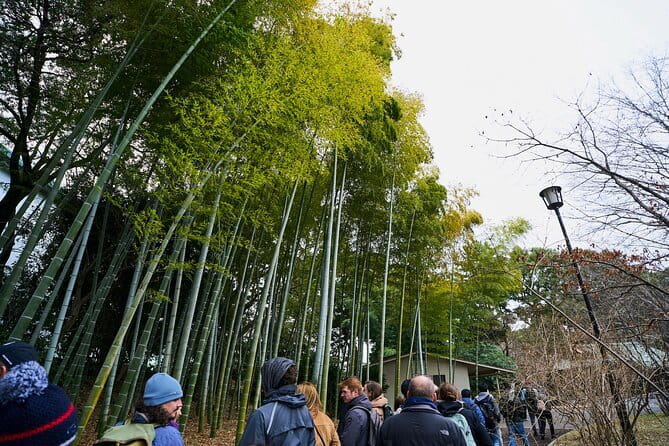 Tokyo Castle & Imperial PalaceーShogun Walking Tour - Why Edo Castle makes a better history lesson than a picture stop