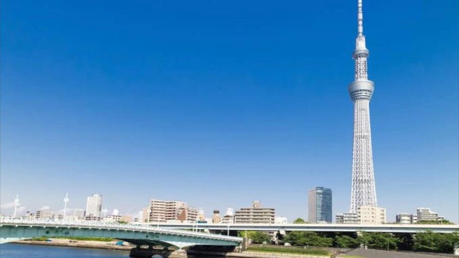 Tokyo: Customizable Private Guided Walking Tour - Tokyo Tower, Shibuya, and the city’s big signatures