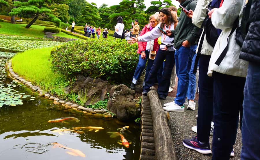 Tokyo: Imperial Palace Japanese History Walking Tour - Why Edo Castle matters to Tokyo today