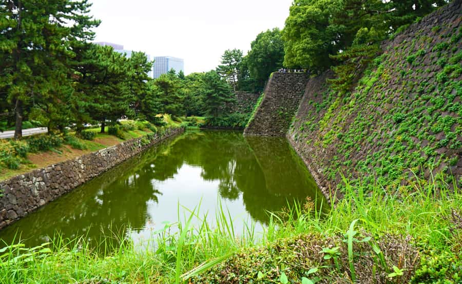Tokyo: Imperial Palace Japanese History Walking Tour - Samurai remains and the old social order