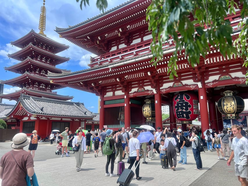 Tokyo: Meiji Jingu Shrine and Shinto Culture Walking Tour - Sake barrels and wine barrels tell two different stories