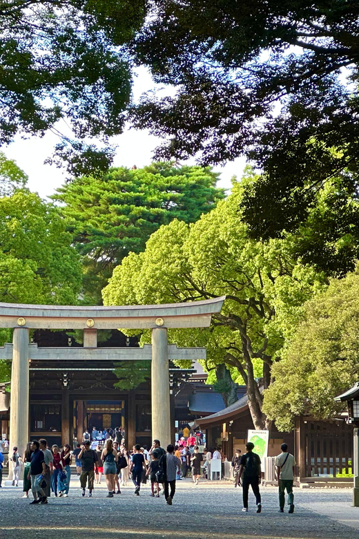 Tokyo: Meiji Jingu Shrine and Shinto Culture Walking Tour - What the guides add to the visit