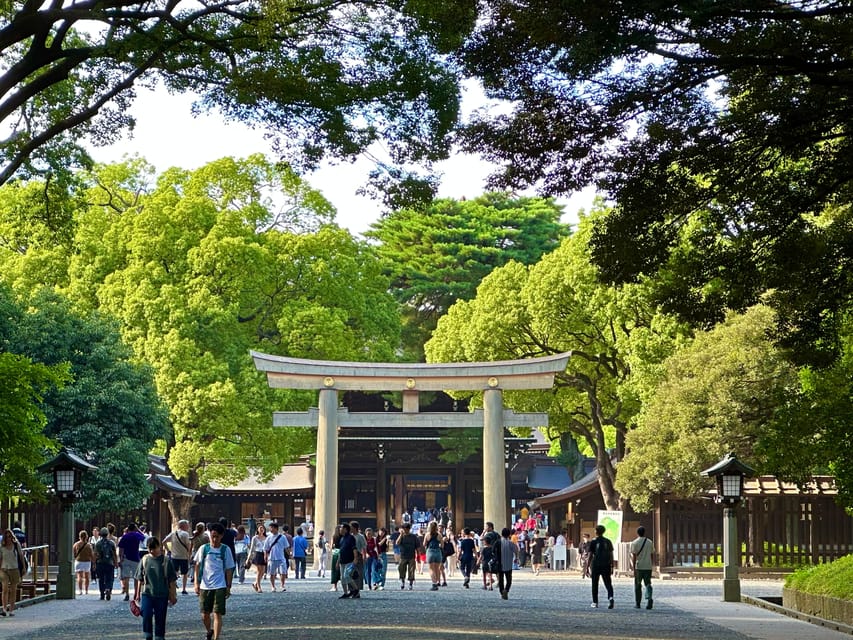 Tokyo: Meiji Jingu Shrine and Shinto Culture Walking Tour - Who should book this Meiji Shrine walk?