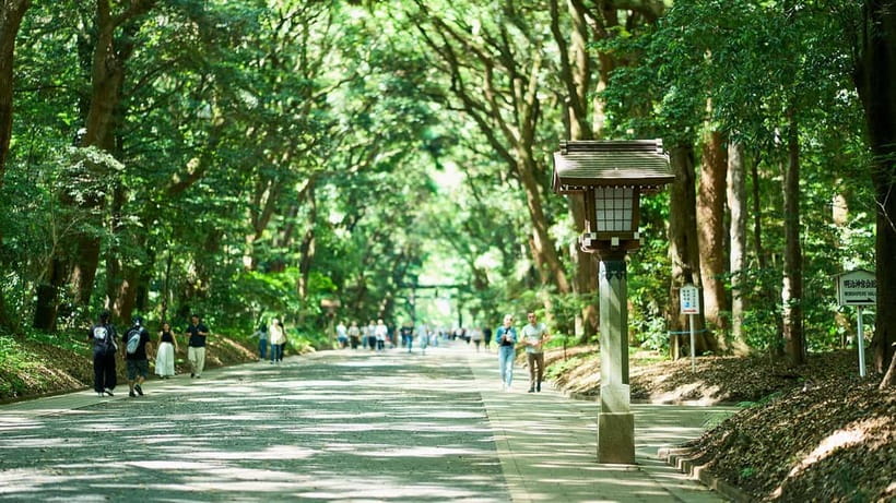 Tokyo: Meiji Shrine Walking Tour — Shinto & Imperial System - Why Meiji Shrine feels far removed from Tokyo