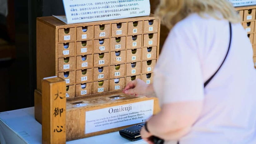 Tokyo: Meiji Shrine Walking Tour — Shinto & Imperial System - What the guide adds to a familiar sight