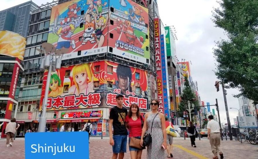 Tokyo: Private Custom Walking Tour with Local Guide - What the guides add beyond directions