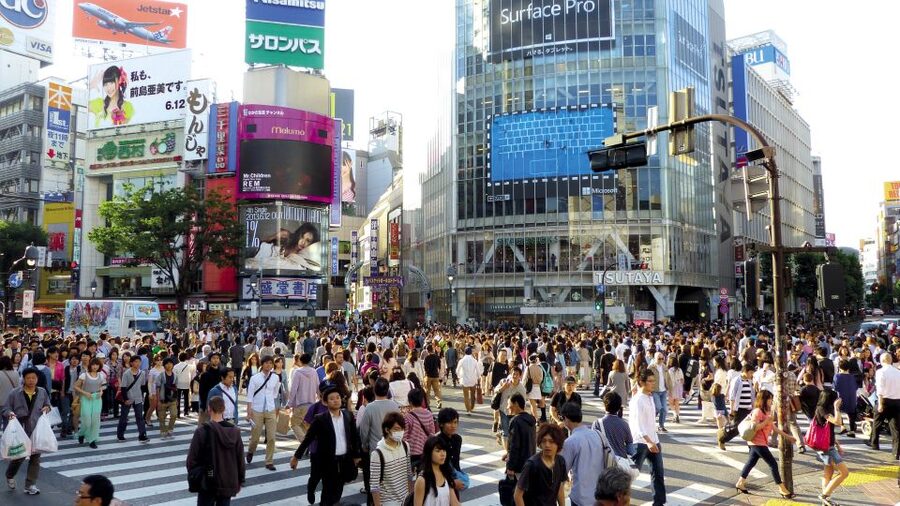 Tokyo: Private Walking Tour with a Local - Learning Tokyo’s metro instead of fearing it