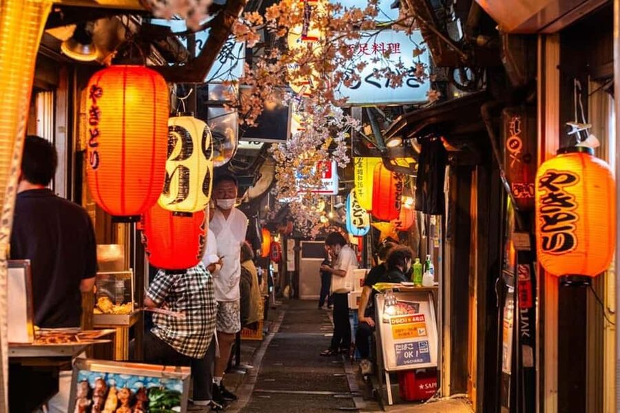 Tokyo: Private Walking Tour with a Local Guide - Key points to know before booking