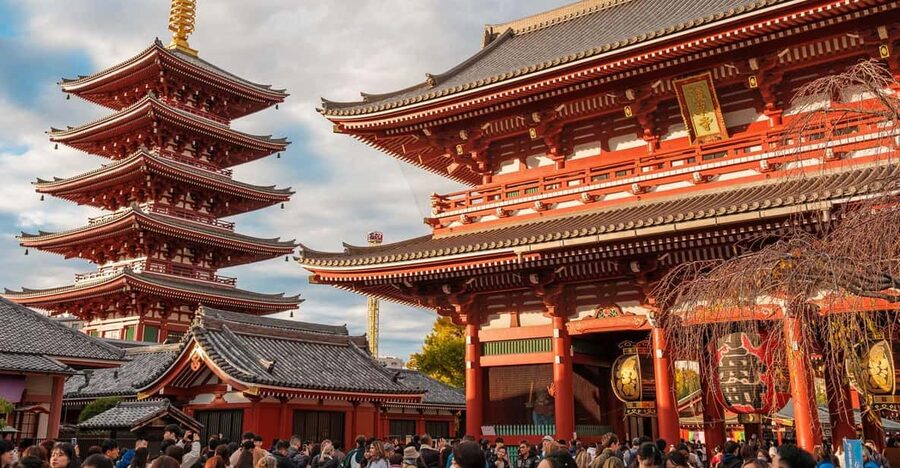 Tokyo: Private Walking Tour with a Local Guide - Why a private Tokyo tour can make sense