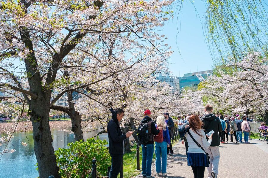 Tokyo: Private Walking Tour with a Local Guide - Ueno and Ameya-Yokocho: markets, snacks, and local energy