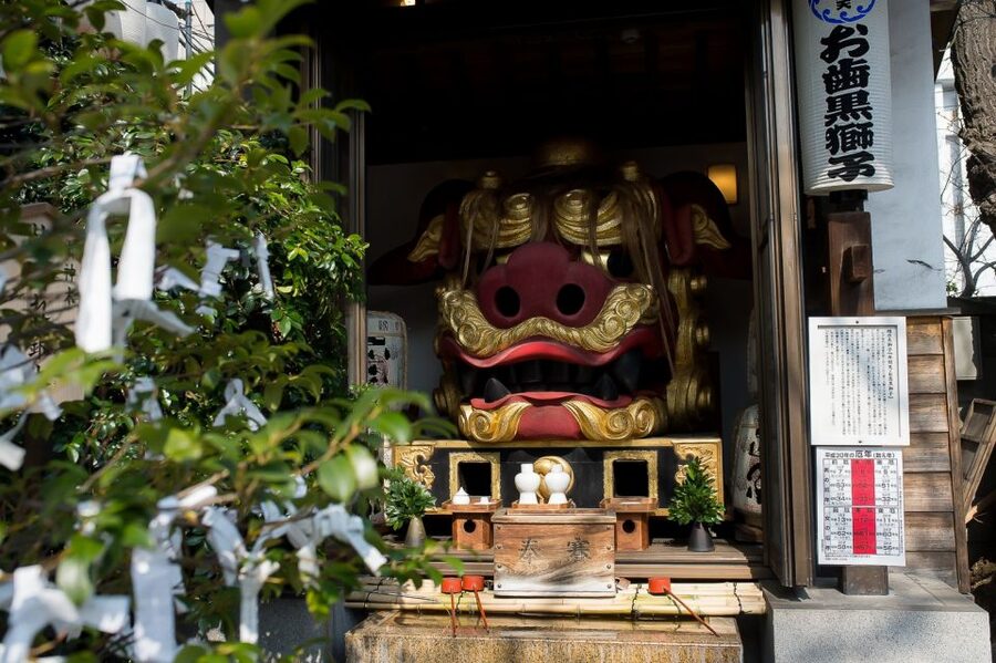 Tokyo: Tsukiji Market Walking Tour & Sushi Cooking Class - Should you book the Tsukiji and sushi class?