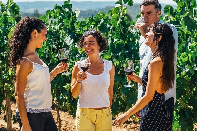 Toledo Tour & Vineyard Walk with Wine Tasting from Madrid - The cathedral upgrade is worth considering
