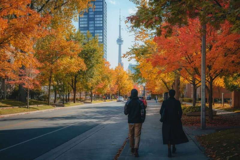 Toronto: City Highlights Walking Tour | 3-Hour - John Street and the city’s cultural side