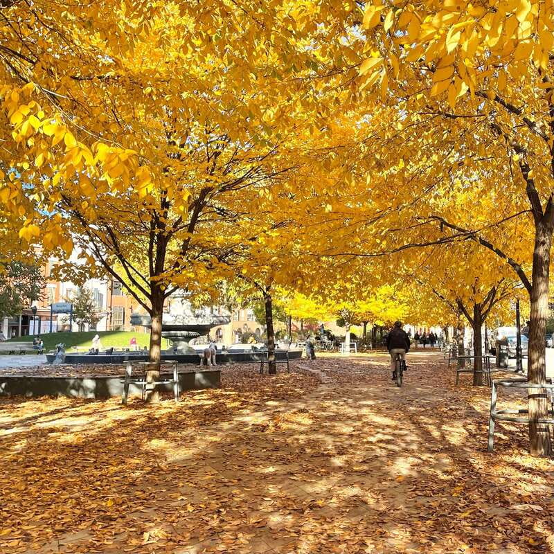 Toronto: City Walking Tour - Why the PATH makes this more than a standard city walk