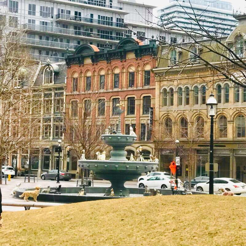 Toronto: City Walking Tour - Old Toronto brings a different pace