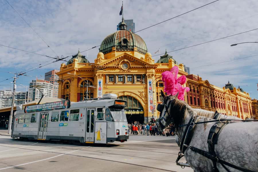 Ultimate Melbourne Walking Tour: History, Laneways & Culture - State Library, the gaol and stories with character
