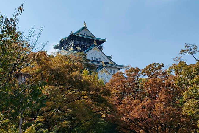 Ultimate Osaka Walking Tour: Castle, Dotonbori & Hidden Gems - Osaka Castle begins the day with a useful reality check