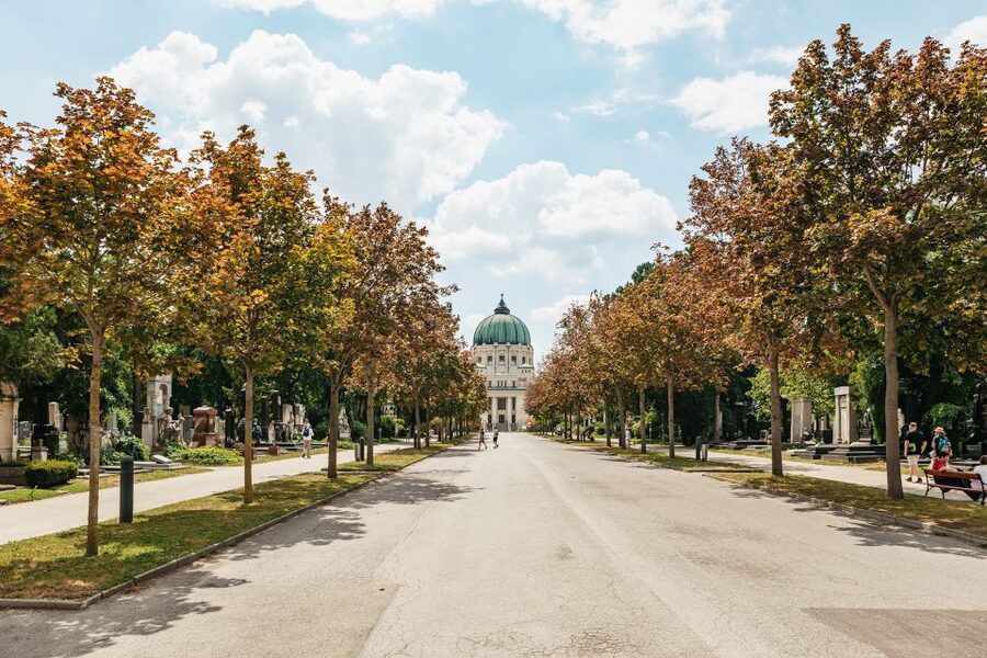 Vienna: Vienna Central Cemetery Guided Walking Tour - How the guide shapes the experience
