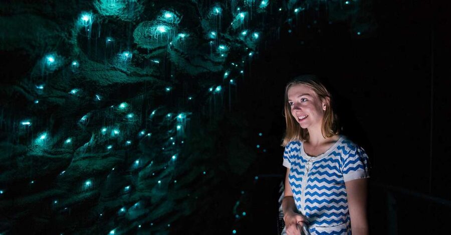 Waitomo Caves: Ruakuri Glowworm Cave Guided Walking Tour - Add the Ruakuri Bushwalk if you have time