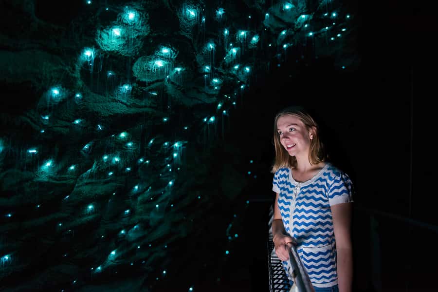 Waitomo Caves: Ruakuri Glowworm Cave Guided Walking Tour - Limestone shawls, crystal formations, and The Pretties