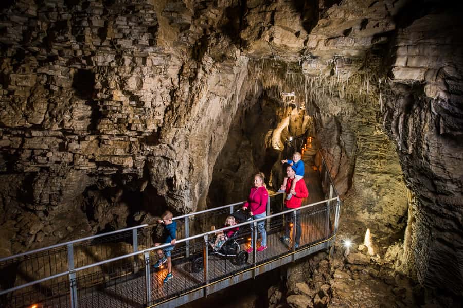 Waitomo Caves: Ruakuri Glowworm Cave Guided Walking Tour - Why the small groups matter