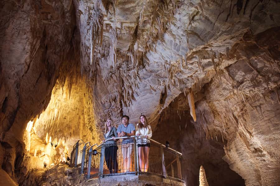 Waitomo Caves: Ruakuri Glowworm Cave Guided Walking Tour - Access, comfort, and who will enjoy the walk