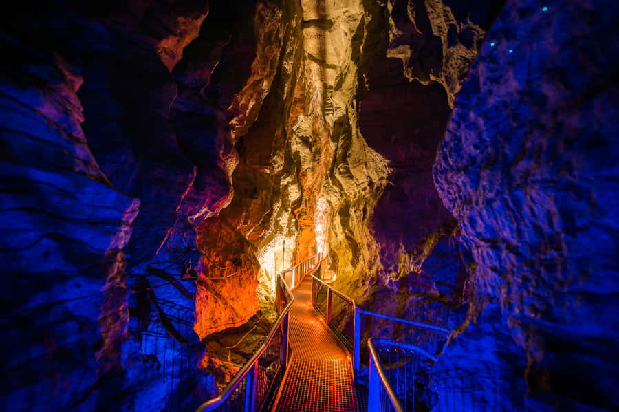Waitomo Caves: Ruakuri Glowworm Cave Guided Walking Tour - Is $69 a fair price?