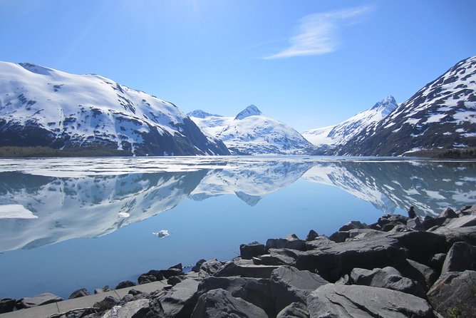 Wildlife and Glaciers with a walk in the Rainforest - Why the season changes the experience